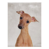 Poster italien Greyhound (Devant)