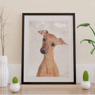 Poster italien Greyhound