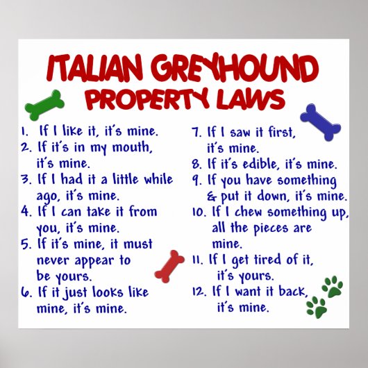 POSTER ITALIEN GREYHOUND PL2 (Devant)