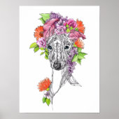Poster Italien greyhound whippet chien portrait fleurs ar (Devant)