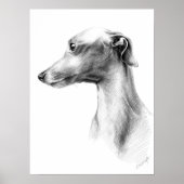 Poster Italien Greyhound Whippet portrait de chien dessin (Devant)