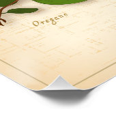 Poster italien Herbes (Coin)