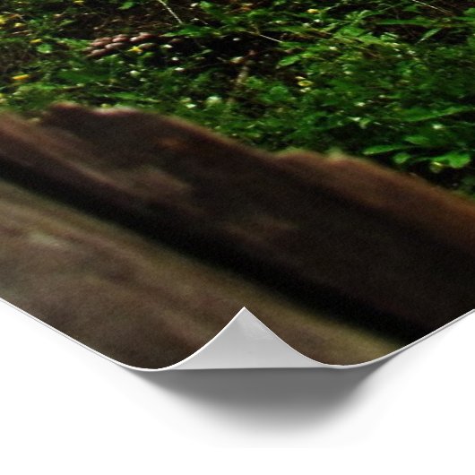 POSTER ITALIEN VINEYARD (Coin)