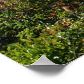 POSTER ITHACA NEW YORK OUVERT SUR LE MUR (Coin)