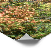 poster ITHACA NEW YORK WATERFALL (Coin)