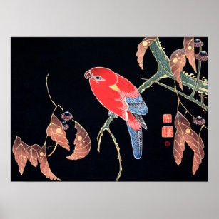Poster Ito Jakuchu Parrot rouge sur la branche d'un arbre