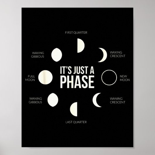 Poster It's Just A Phase Lunar Phases New Moon Earth Hemi (Devant)