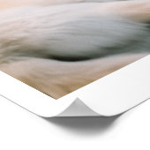 Poster Ivory Wolf Chroma | Wolfs et une voiture (Coin)