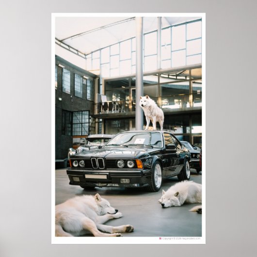 Poster Ivory Wolf Chroma | Wolfs et une voiture (Devant)