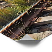 Poster Ivy and Graffiti Covered Abandoned Train (Coin)