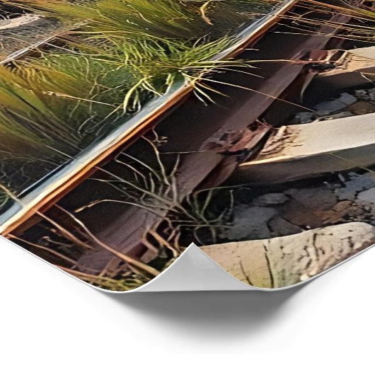 Poster Ivy and Graffiti  Covered Abandoned Train  (Coin)