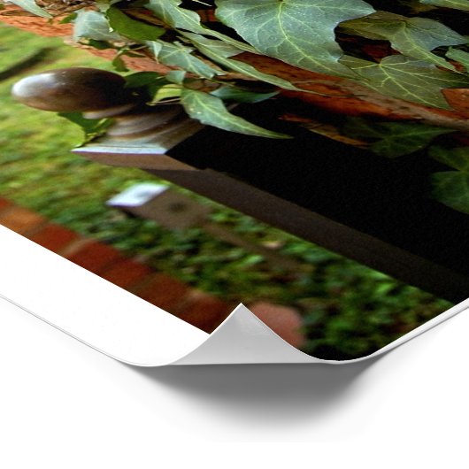 Poster Ivy & Brick [Imprimer] (Coin)