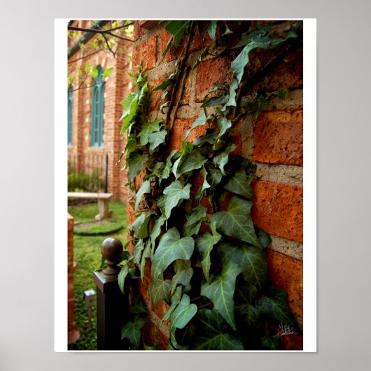 Poster Ivy & Brick [Imprimer] (Devant)