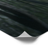 Poster Ivy Leaf Nature Photo (Coin)