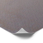 Poster ixtab (Coin)