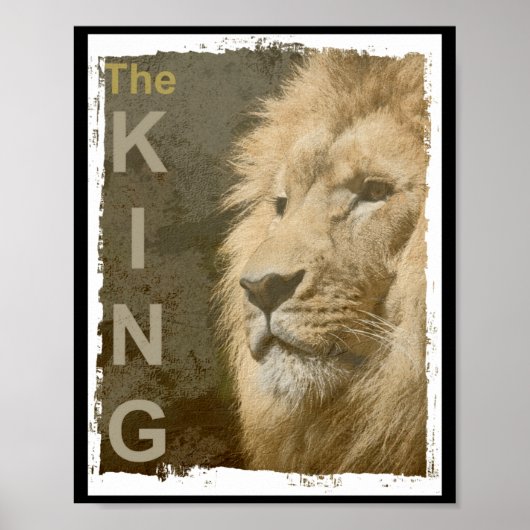 Poster Ize Modern Elegant P Art Lion Head Black  (Devant)