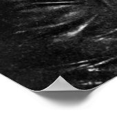 Poster J.E.B. Stuart (Coin)