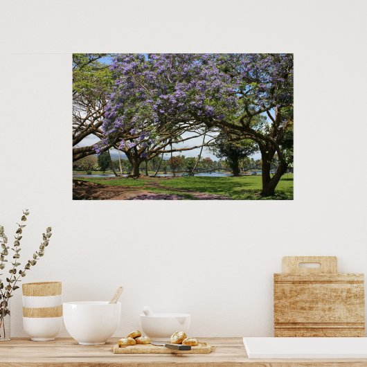 Poster Jacaranda en fleurs (Cuisine)