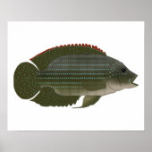 Poster Jack Dempsey (Devant)