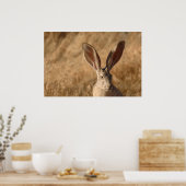 Poster Jack lapin avec grand oreilles photo imprimé poste (Cuisine)