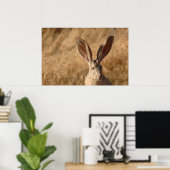 Poster Jack lapin avec grand oreilles photo imprimé poste (Bureau à domicile)