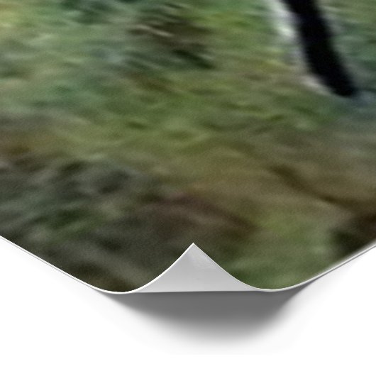 Poster Jack O'Lantern Citrouille Skeleton Cimetière (Coin)