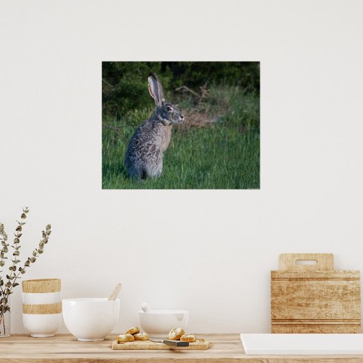 Poster Jack Rabbit (Cuisine)