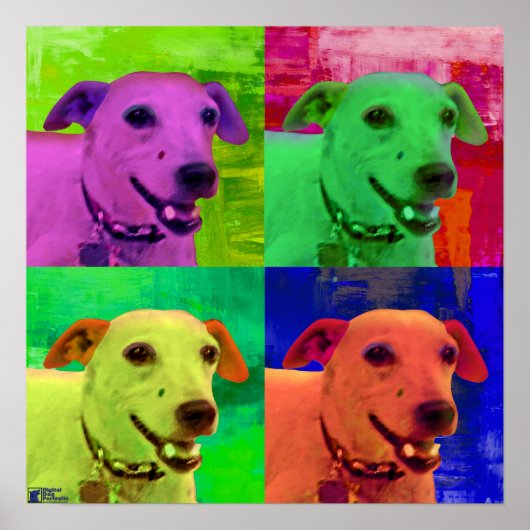 Poster Jack Russel Terrier Art pop (Devant)