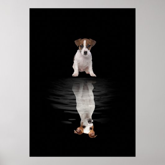 Poster Jack Russell Aimer Cute Jack Russell (Devant)