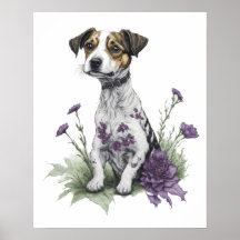 Jack Russell Chien