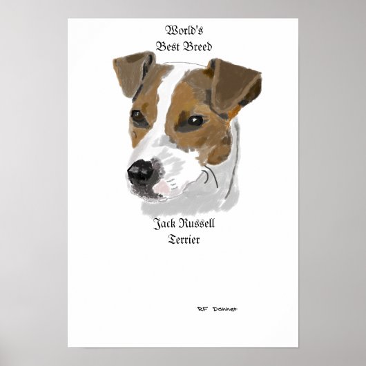 Poster Jack Russell, la meilleure race au monde (Devant)