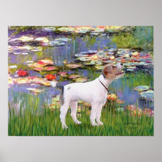 Poster Jack Russell (Parsons Terrier) - Lilies 2 (Devant)