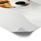 Poster Jack Russell Retriever (Coin)