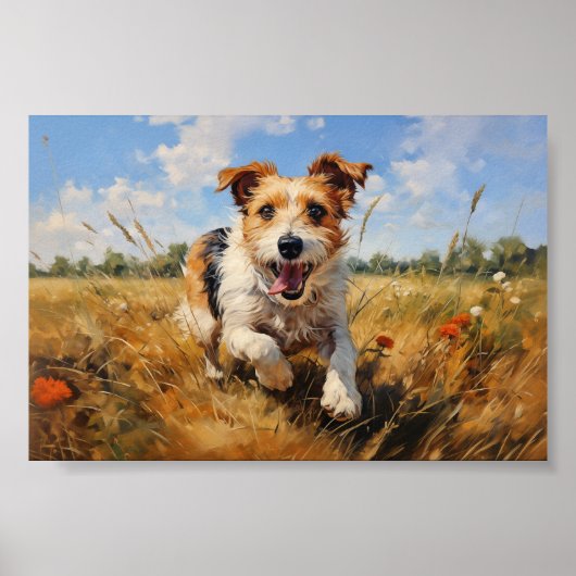 Poster Jack Russell Terrier (Devant)