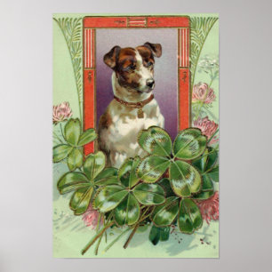 Poster Jack Russell Terrier