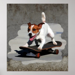 Poster Jack Russell Terrier sur Skateboard