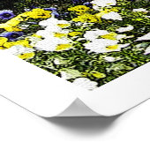 POSTER JACK RUSSELL TERRIOR (Coin)