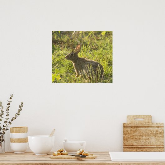 Poster Jackalope 1 (Cuisine)