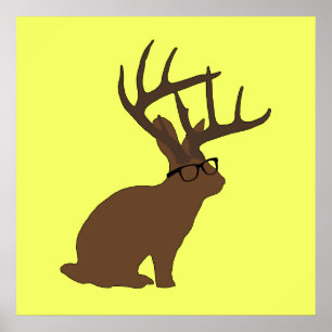 Poster jackalope avec l'affiche en verre