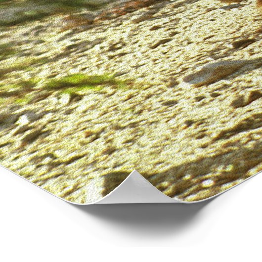 Poster Jackalope occidentale (Coin)