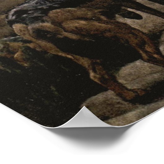 Poster Jackals à dos noir de Winifred Austen (Coin)