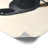 Poster Jackdaw | William Lewin (Coin)