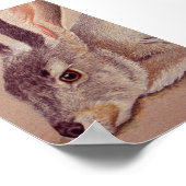 Poster Jacklapin (Coin)