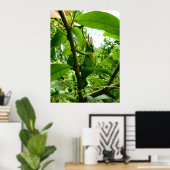 Poster Jackson Chameleon (Bureau à domicile)