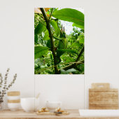 Poster Jackson Chameleon (Cuisine)