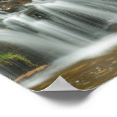 Poster Jackson Falls, NH Print (Coin)