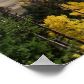 Poster Jackson Hole Series (Coin)