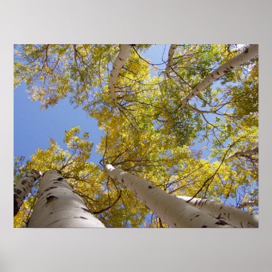 Poster Jackson Hole Wyoming Series (Devant)