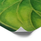 Poster Jade Vine (Coin)