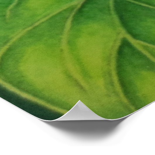 Poster Jade Vine (Coin)